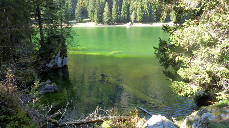 Laghi.......del TRENTINO